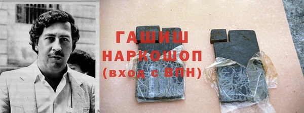 дмт Гусев