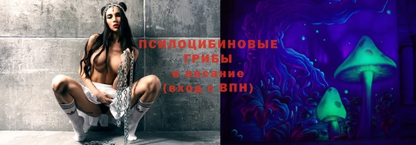 дмт Гусь-Хрустальный