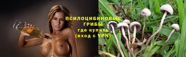 дмт Гусь-Хрустальный