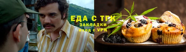 дмт Гусев
