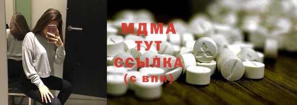 дмт Гусев