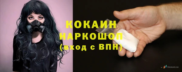 дмт Гусь-Хрустальный