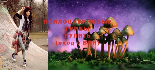 МДПВ Покачи