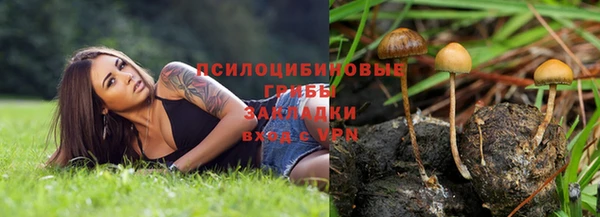 дживик Дмитров